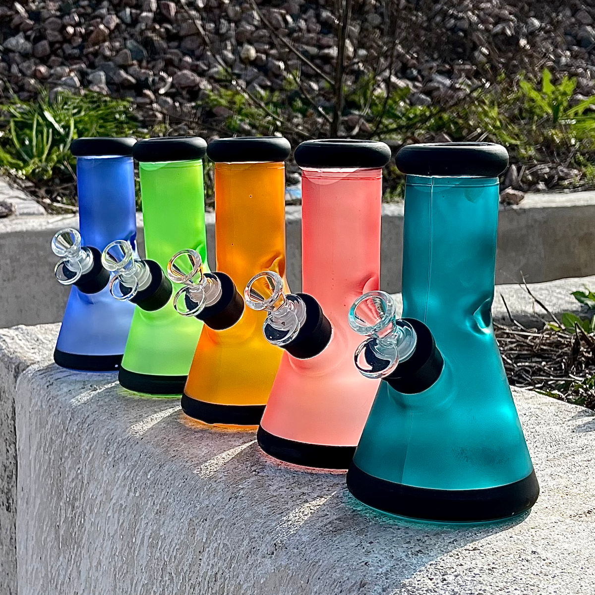 5 Pack 8" Color Frost