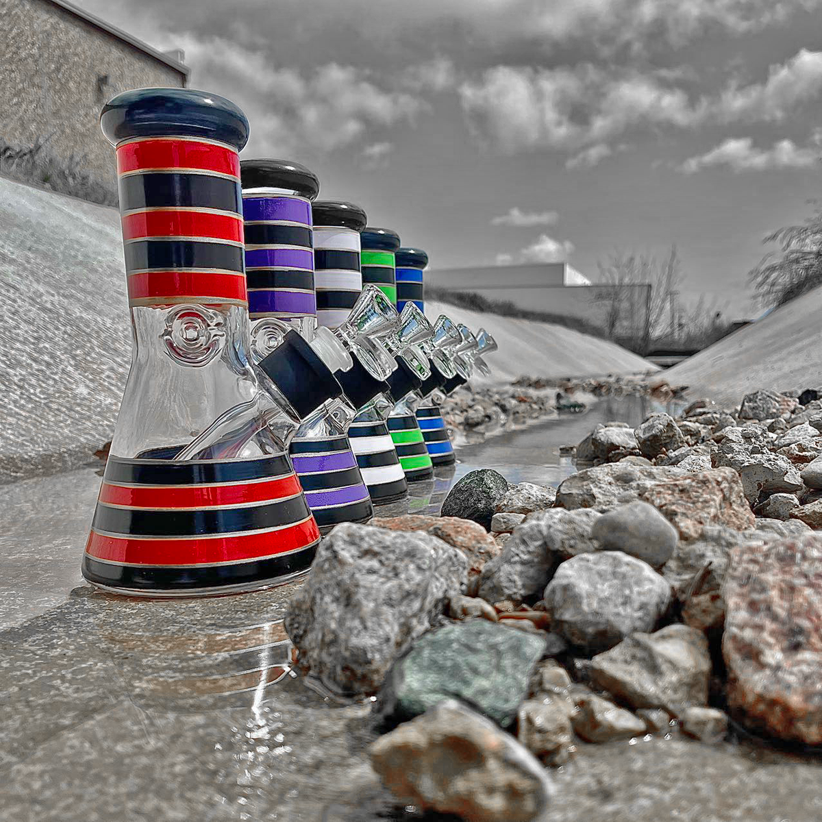 5 Pack 8" Color Stripes
