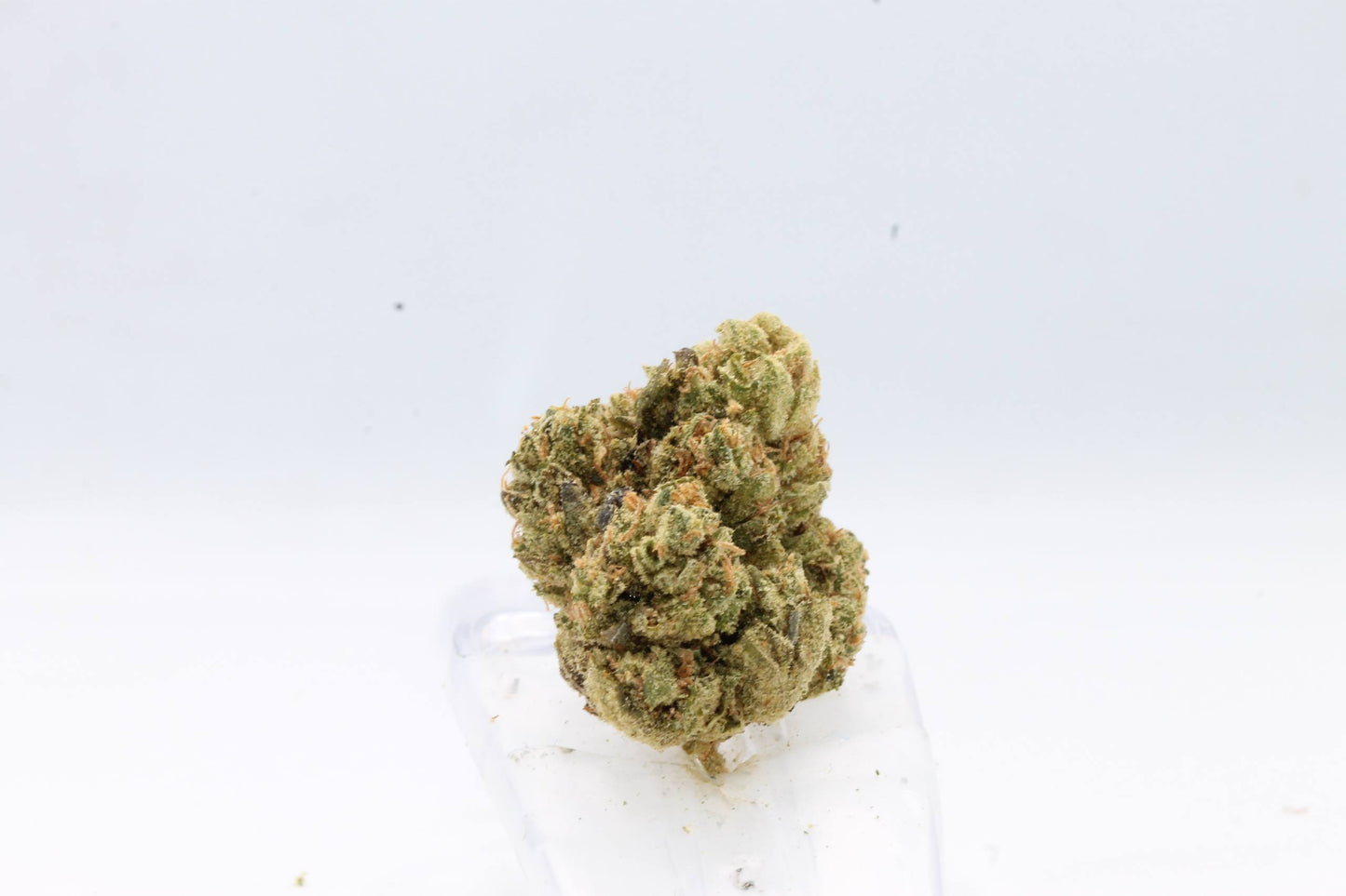 FLOAT THCA BULK 1LB FLOWER