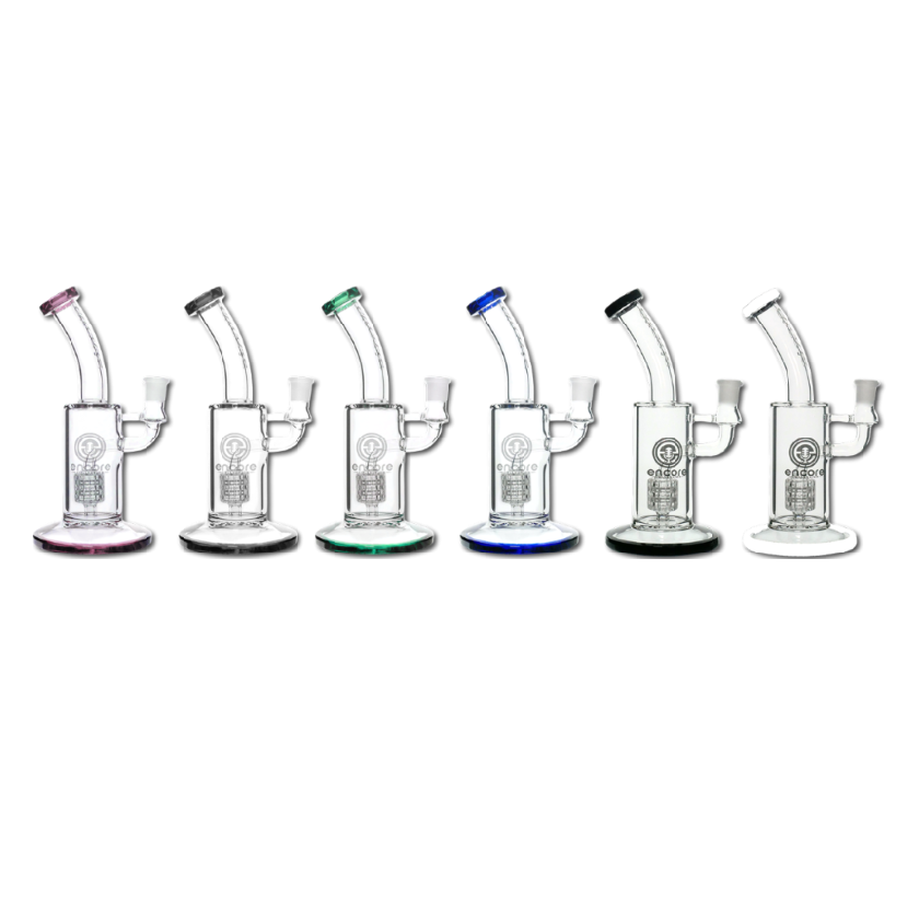 12 PACK 9'' 50x5 w/ Fixed Barrel Perc & Color Accents
