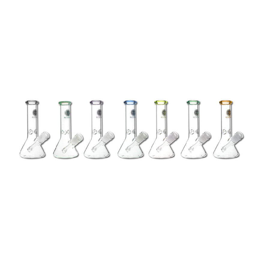 12PACK 38mm 8'' Beaker w/ Color Lip