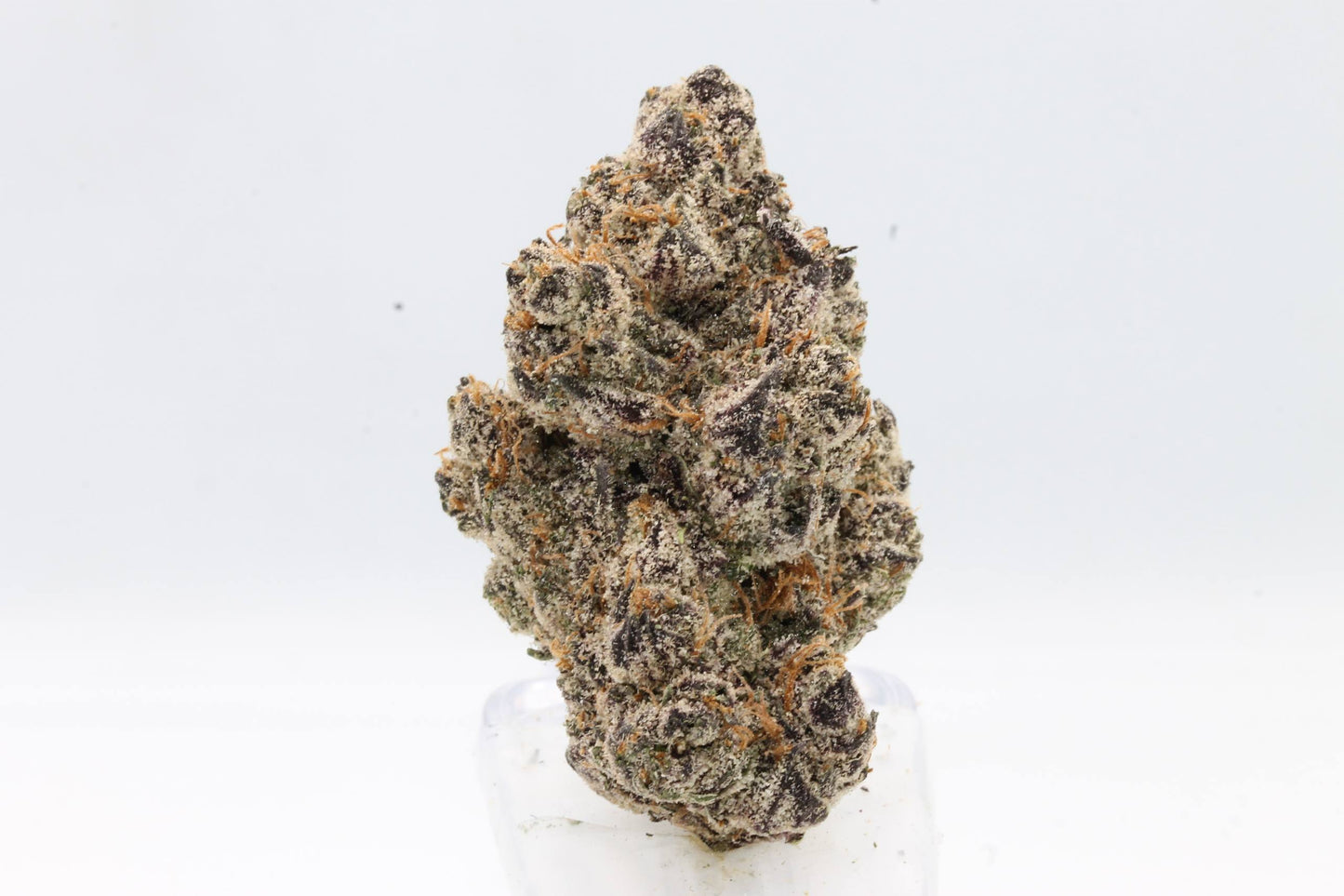 FLOAT THCA BULK 1LB FLOWER