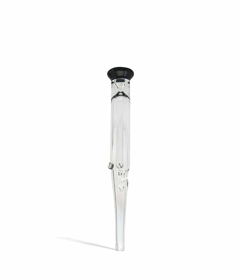 Glass Nectar Straw with Colored Mouthpiece