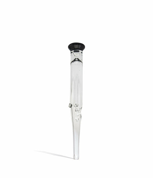 Glass Nectar Straw with Colored Mouthpiece