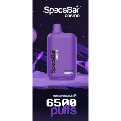 SPACEBAR 6500 Puffs Rechargeable Disposables – 5 Pack