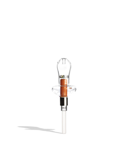 Exxus Merk Nectar Collector in orange color on white background