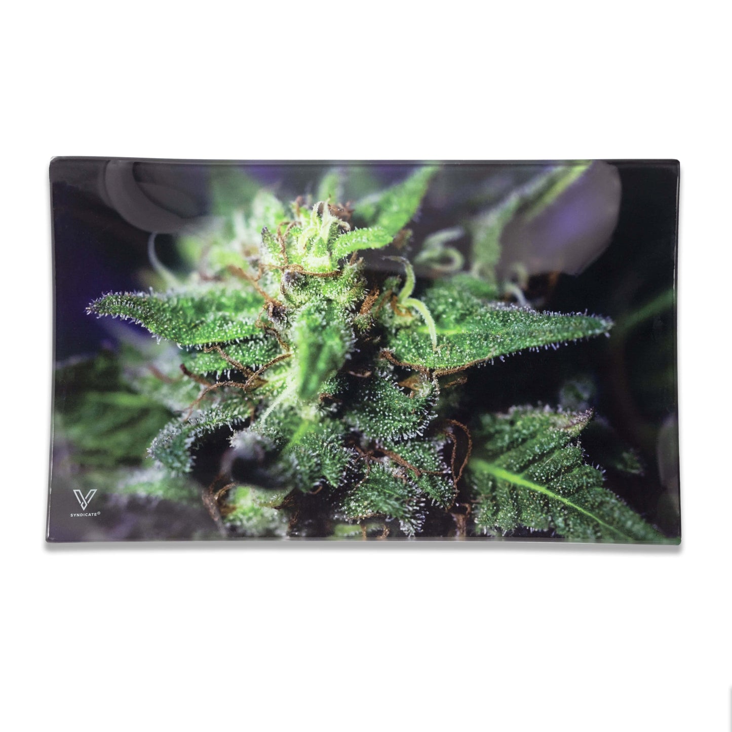 Glass Tray