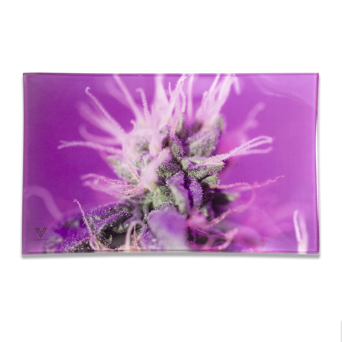 Glass Tray